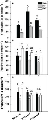 Oat—an alternative crop under waterlogging stress?